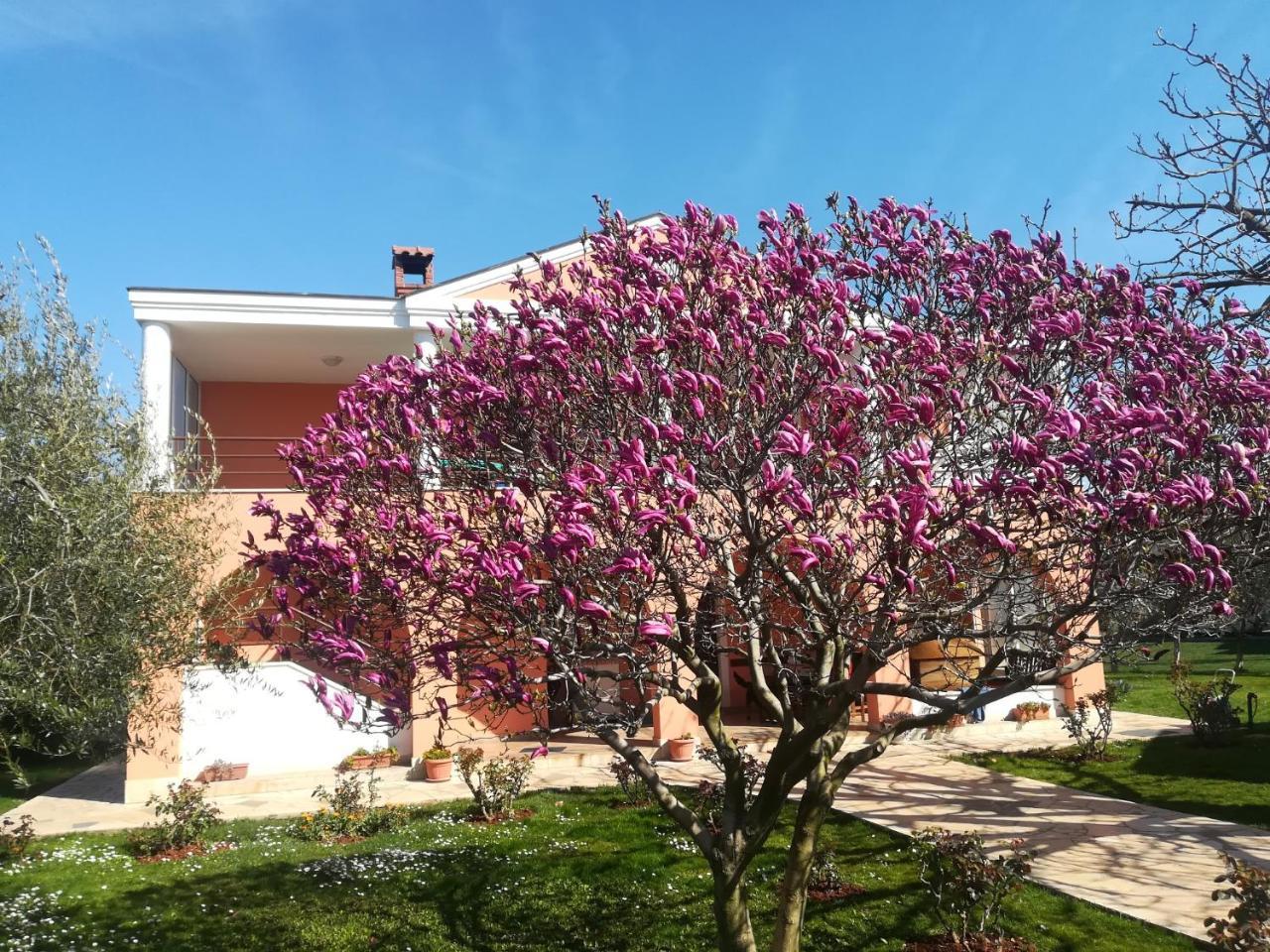 B&B Carmela Umag Luaran gambar